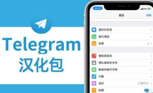 "哪里可以下载 Telegram 的中文本地化版本？"