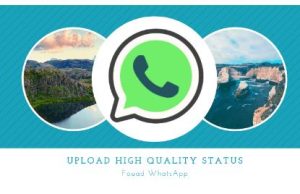 The History of Fouad WhatsApp